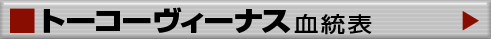 トーコーヴィーナス　血統表