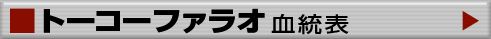 トーコーファラオ　血統表