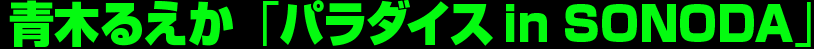 青木るえか「パラダイス in SONODA」