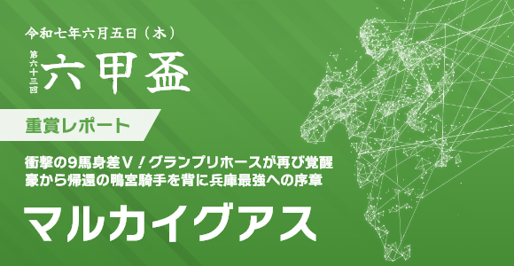 六甲盃