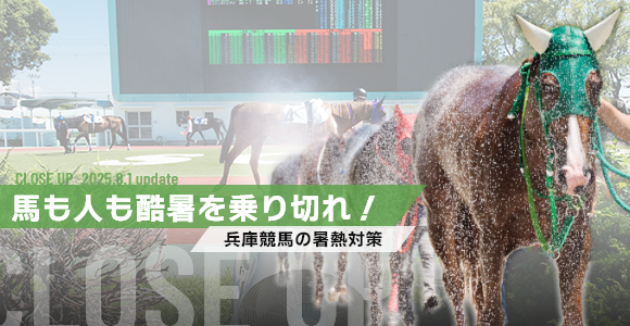 馬も人も酷暑を乗り切れ！〜兵庫競馬の暑熱対策〜