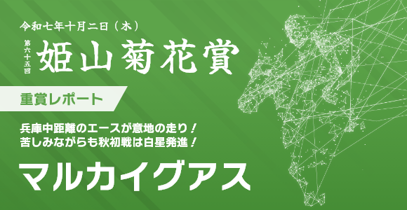 姫山菊花賞