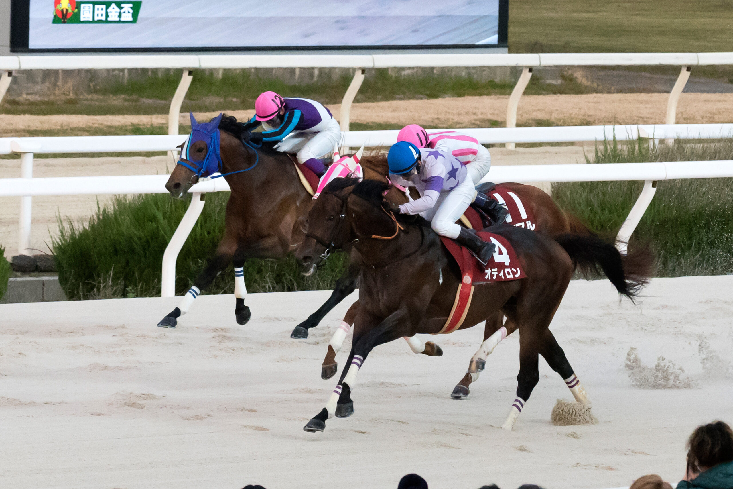 2025 園田金盃 レポート