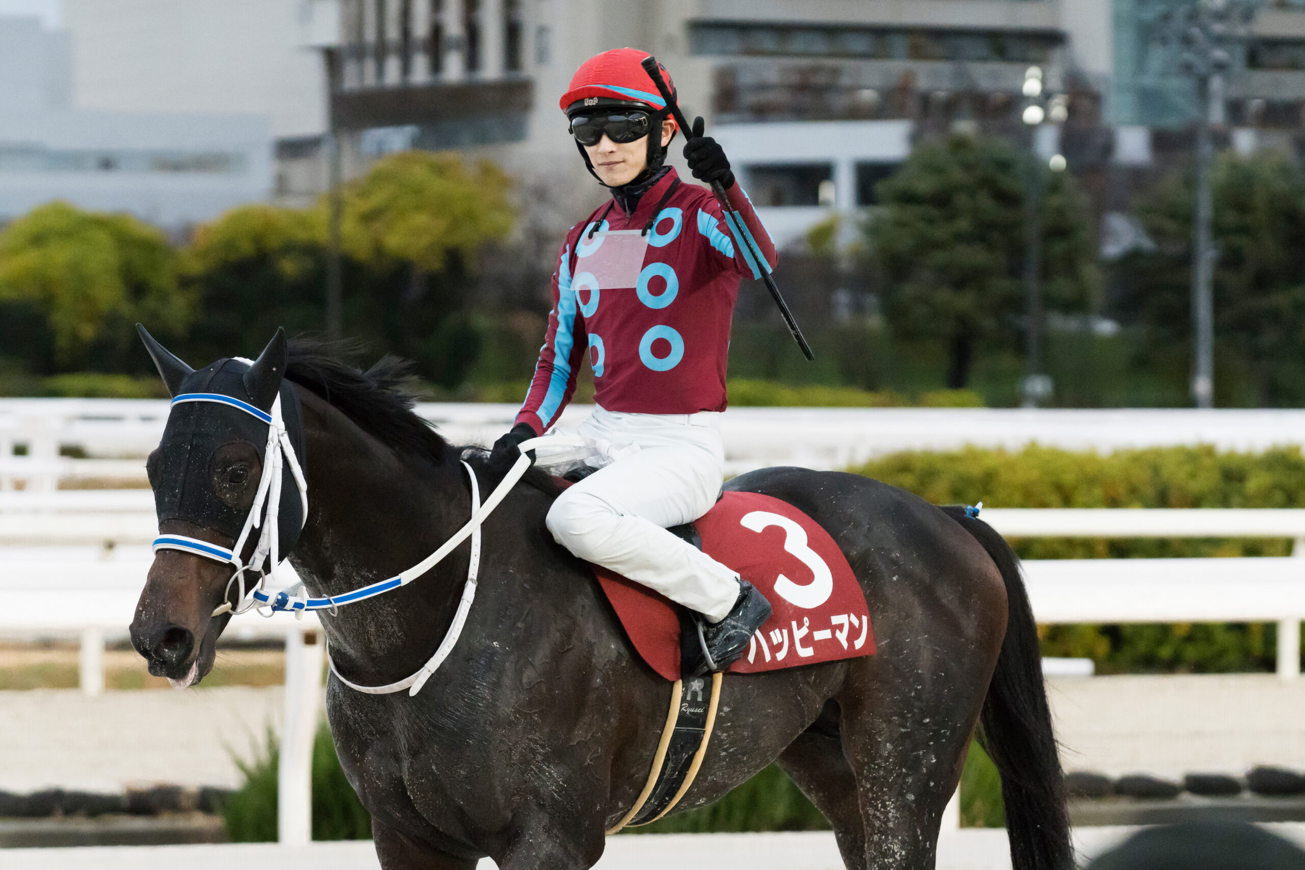 2025 兵庫ゴールドトロフィー(Jpn3)